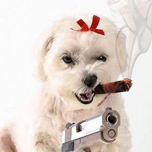 Meet your Posher, Tammy